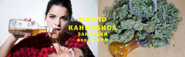 индика Абаза