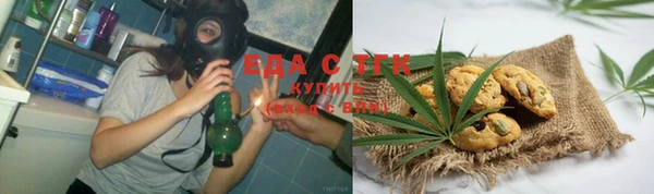 индика Абаза