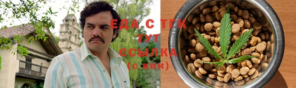 индика Абаза