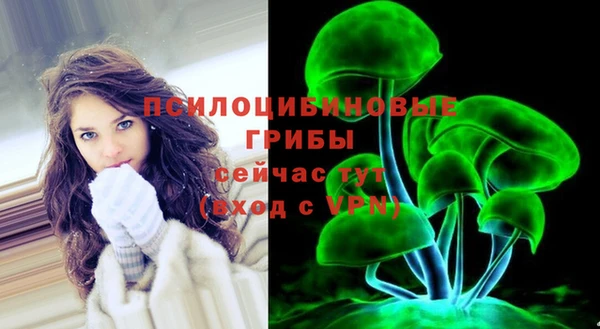гашик Абинск