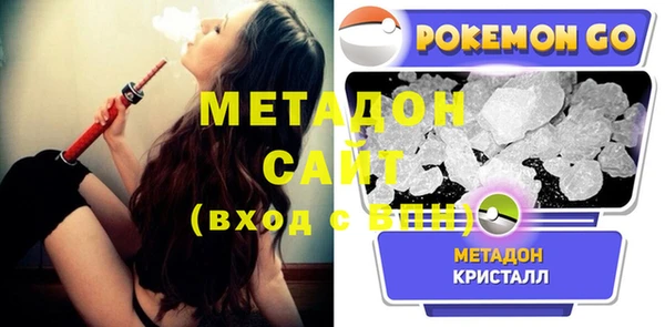 индика Абаза