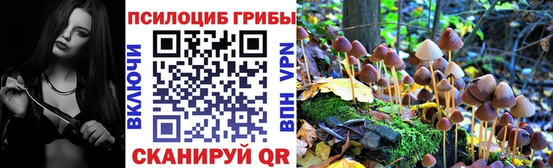 Псилоцибиновые грибы MAGIC MUSHROOMS где можно купить Власиха